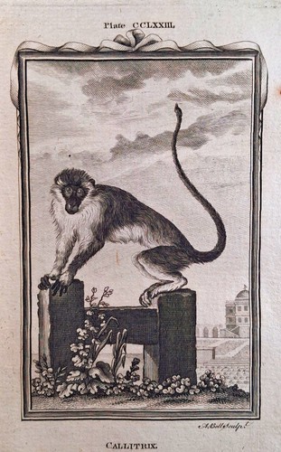 Kupferstich von 1781