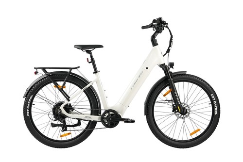 Ttgo elektrofahrrad 250w - z3,