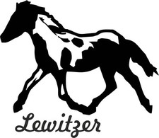 Auto aufkleber lewitzer - auto,