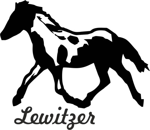 Auto aufkleber lewitzer - 2, x