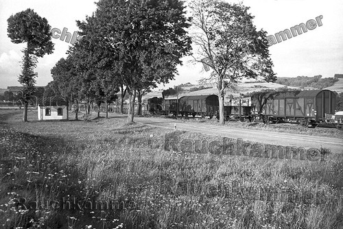 Fotoabzug 10x15 98 1005 - db,