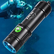 APLOS AP02 Tauchlampe 2500