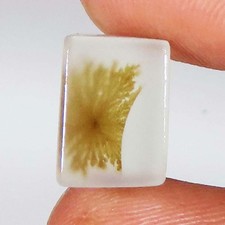 3.00 Karat Landschaftlich Dendritisch Achat Kissen Form Natürlicher Edelstein