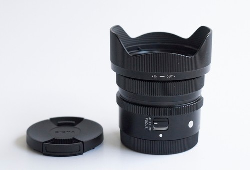Sigma dn sony - dg, fe