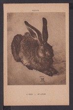 Ansichtskarte Künstler Albrecht Dürer Feldhase 1502