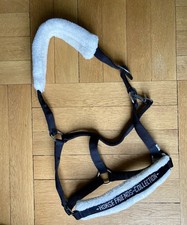Halfter Warmblut Teddyfell XXL