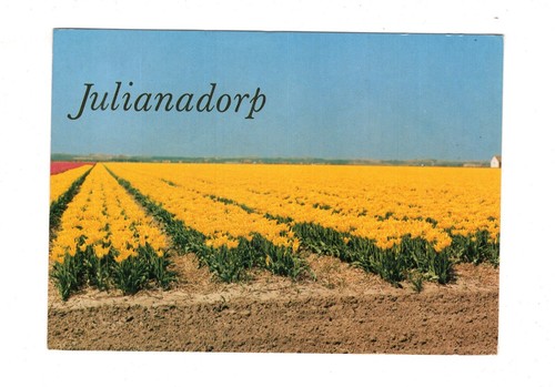 Ansichtskarte julianadorp - ak,