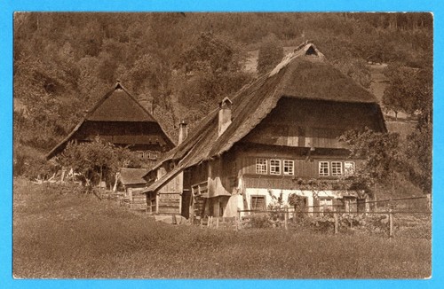 Schwarzwald 1915 - ,
