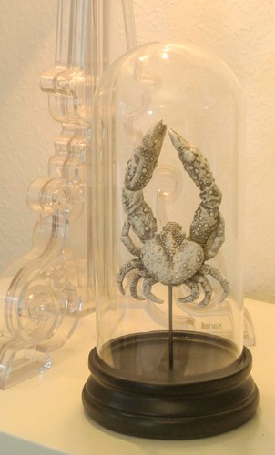 Wunderkammer steampunk gothic - wunderkammer,