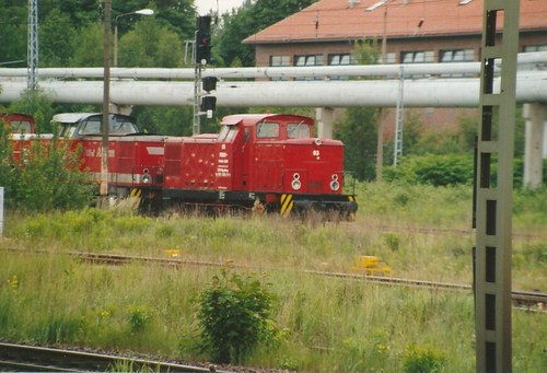 Foto pbsv lok lew - foto,