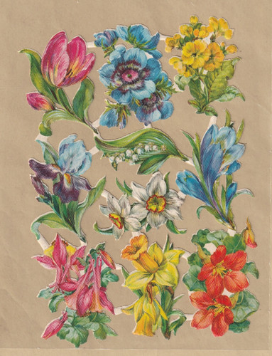 Ddr stammbuchbilder blumen - ddr,