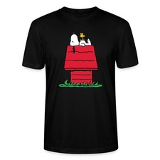 Peanuts Snoopy Und Die