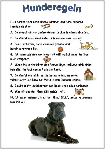 Warnschild 20x30cm - warnschild,