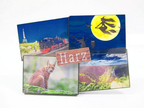 Harz luchs hexe eisenbahn - harz,