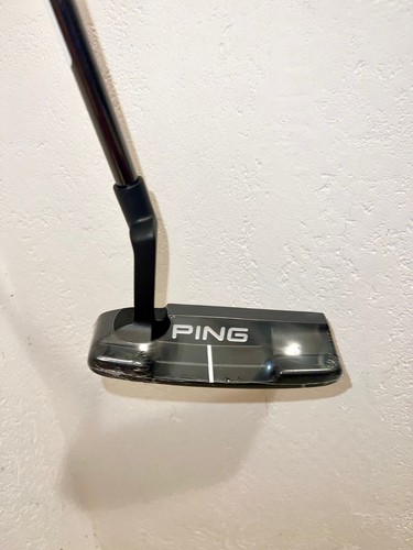 Ping 2021 anser - ping,