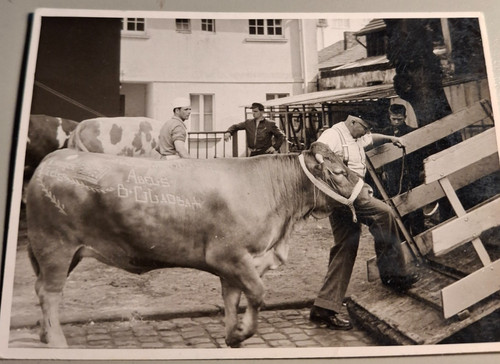 Altes foto vintage verladung - foto, vintage,verladung