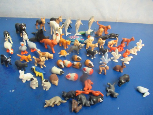 Massig viele tiere - tiere, schwan