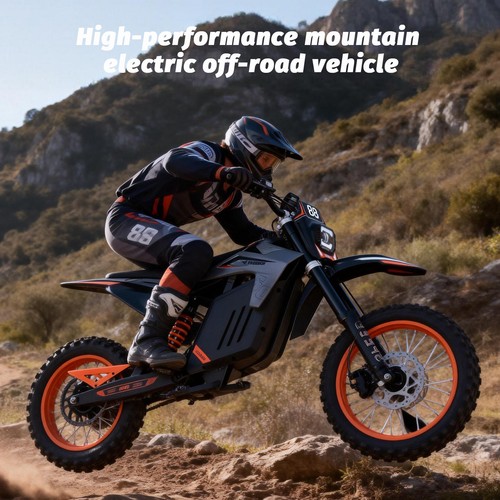 Motorrad freeboy y88 3000w - y88,