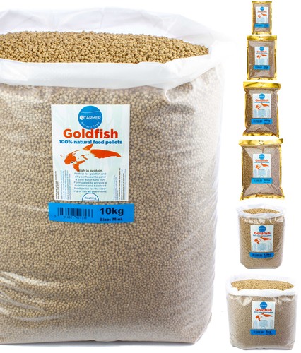 Goldfische koi high - goldfische, &