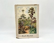 Ernst Haeckel Forscher