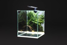 diversa NEOlight 30 plant -