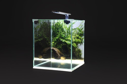 Diversa neolight plant - plant,