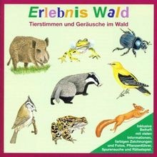 Erlebnis Wald. CD: Tierstimmen