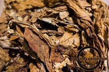 Tabakblätter ''Burley  '' 1kg Premium Qualität (Tabak,Tabakpflanzen)