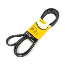 CONTI Keilrippenriemen