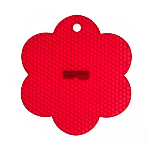 Kochblume - ,