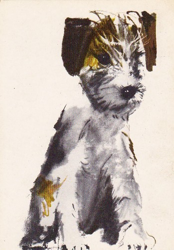 Fox terrier postkarte - terrier,
