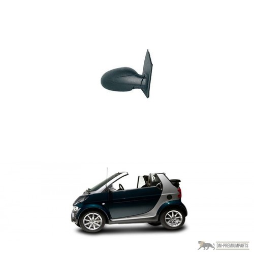 Smart coupe cabrio 450 spiegel - coupe,