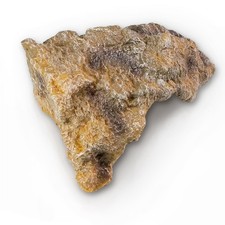 Reptilienfelle Felsen