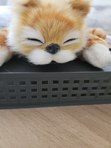 Plüschkatze tiger orange - plüschkatze,