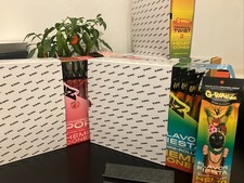 G Rollz Pre Rolled Cones -