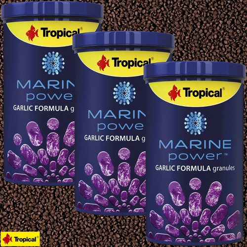 Tropical marine power garlic - tropical,