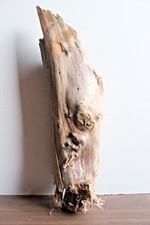 Treibholz Schwemmholz 1 Skulptur , Floristik, Garten, Basteln,Deko  