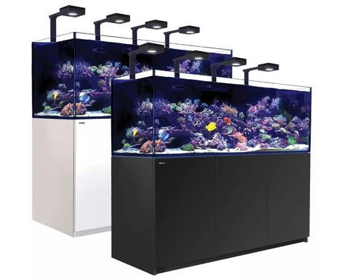 Red sea reefer - red, xxl
