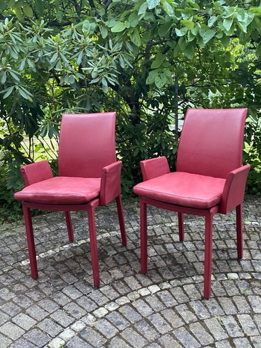 Vollleder esszimmerstühle - vollleder,