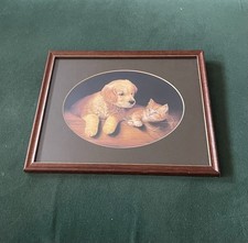 Labrador welpe und kätzchen - labrador,