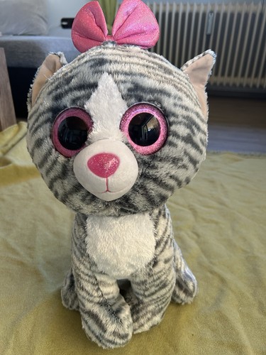 Kiki cat katze aus - kiki,