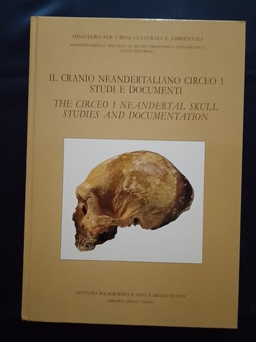 Der neandertaler schädel - 'der,