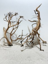 Aquariumwurzel, Etosha Tree 