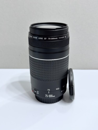 Canon 300 4 5 - canon, mm