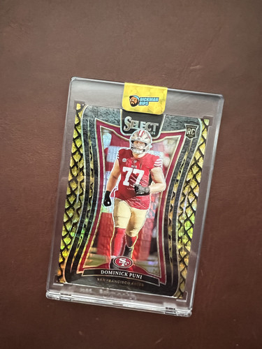 Dominick puni panini select - dominick,