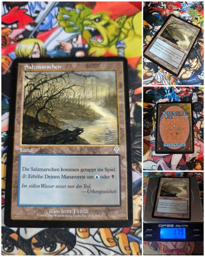 Mtg salt marsh - salt, nm