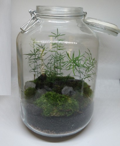 Diy flaschengarten set - diy, 1