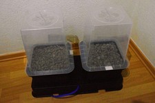 AutoPot easy2grow 2Pot