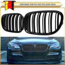 Nieren Kühlergrill Doppelsteg