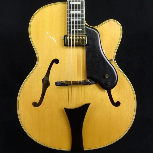 Hofner new president 2003 - new, n